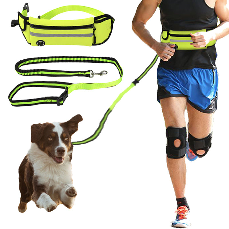Dog Walking Waist Bag with Traction Rope – Waterproof & Reflective