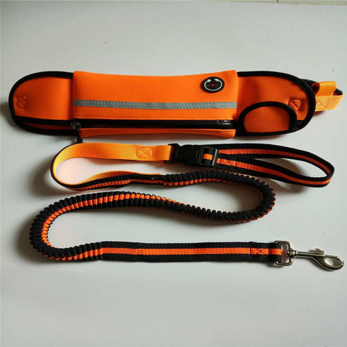 Dog Walking Waist Bag with Traction Rope – Waterproof & Reflective