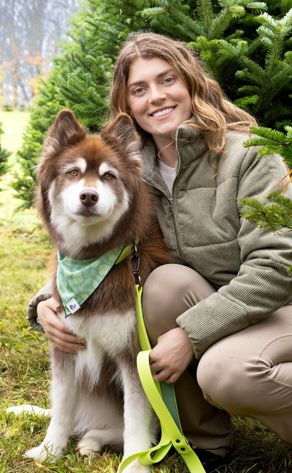 Waterproof Dog Collar — No Stink, No Slip, Built to Last