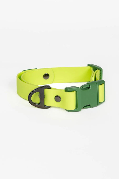 Waterproof Dog Collar — No Stink, No Slip, Built to Last