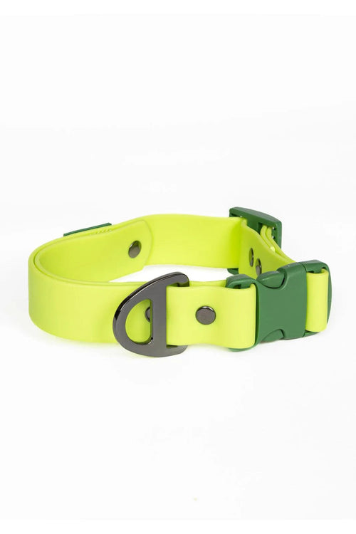Waterproof Dog Collar — No Stink, No Slip, Built to Last