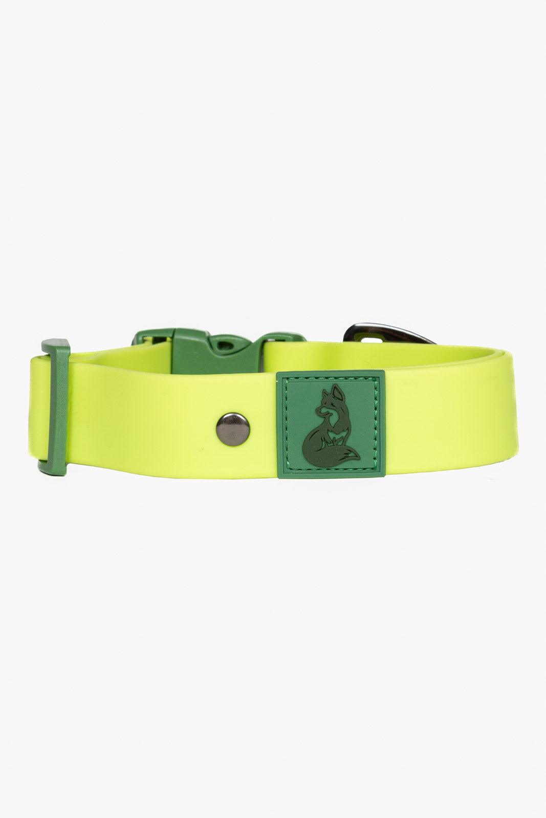 Waterproof Dog Collar — No Stink, No Slip, Built to Last