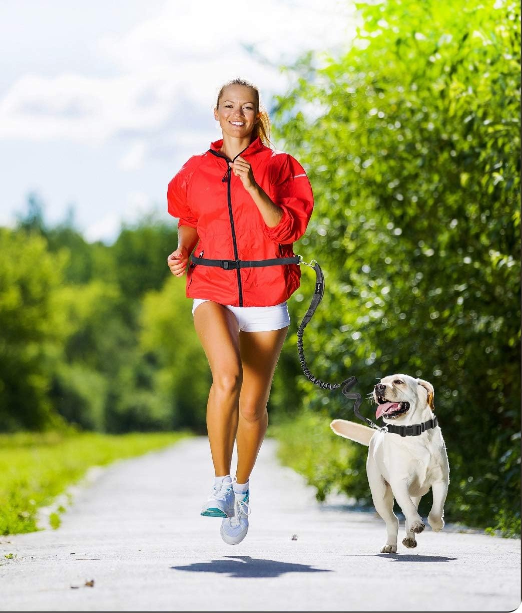 Ultimate Hands-Free Dog Leash for Active Adventures