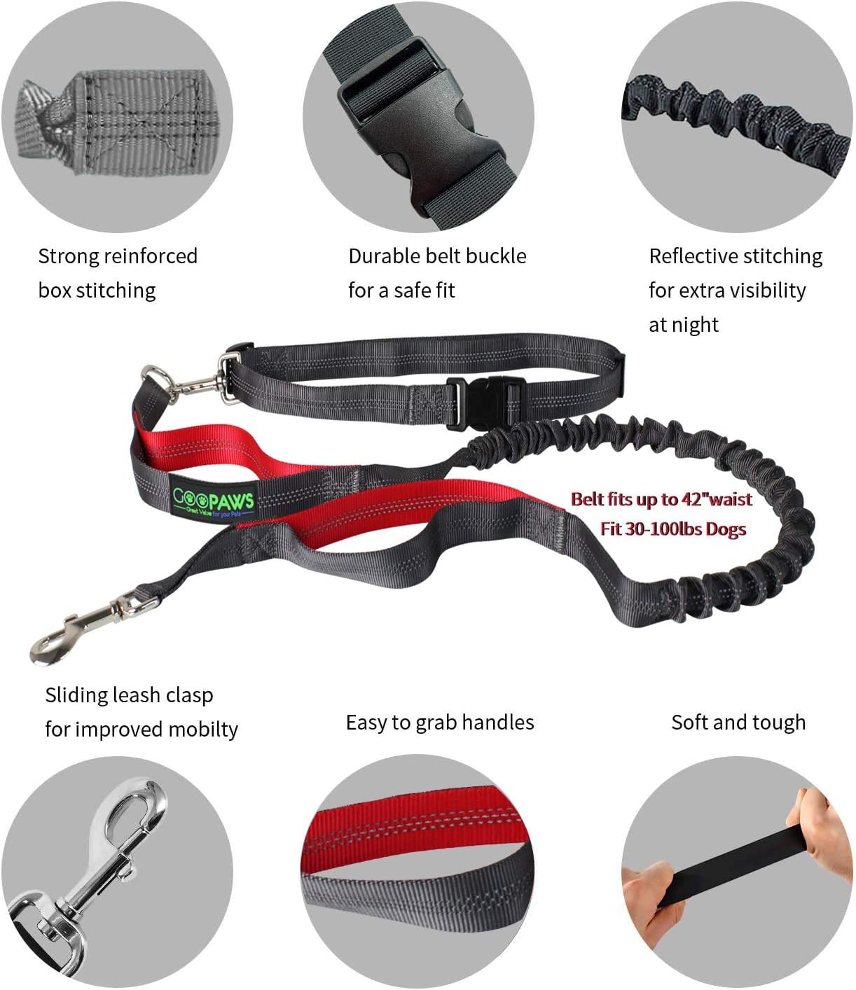 Ultimate Hands-Free Dog Leash for Active Adventures