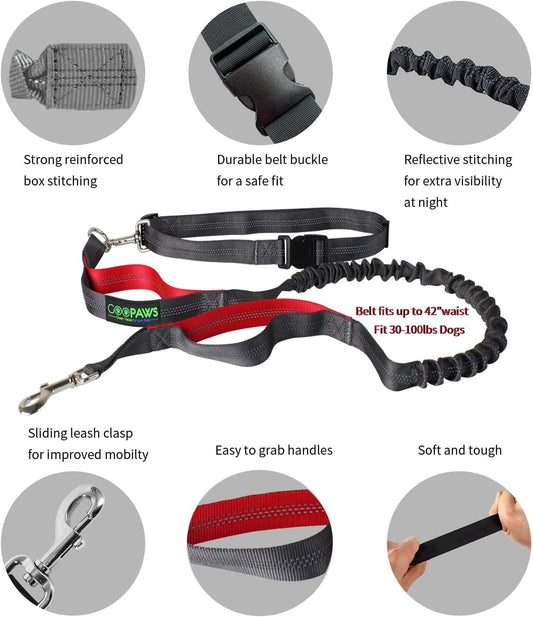 Ultimate Hands-Free Dog Leash for Active Adventures