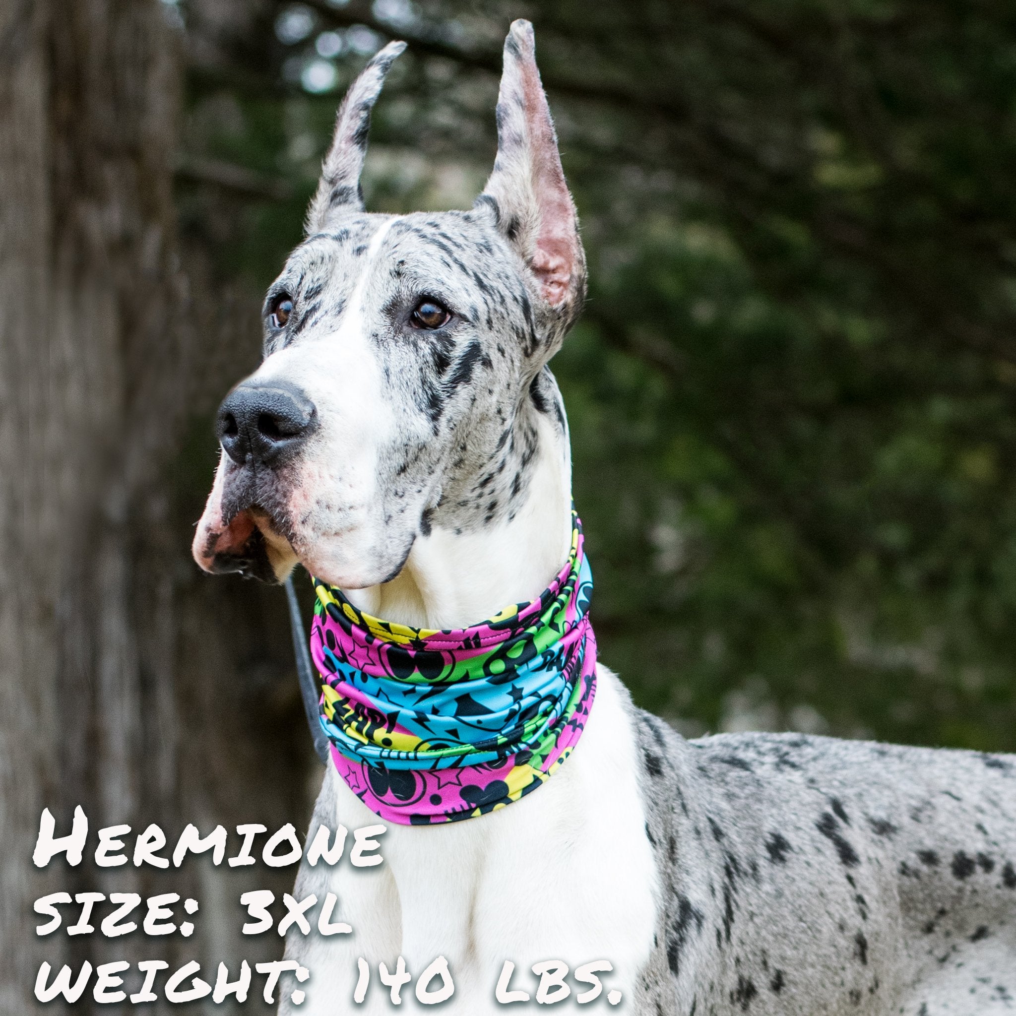 Graffiti Pup Scruff - Dog Neck Gaiter & Bandana