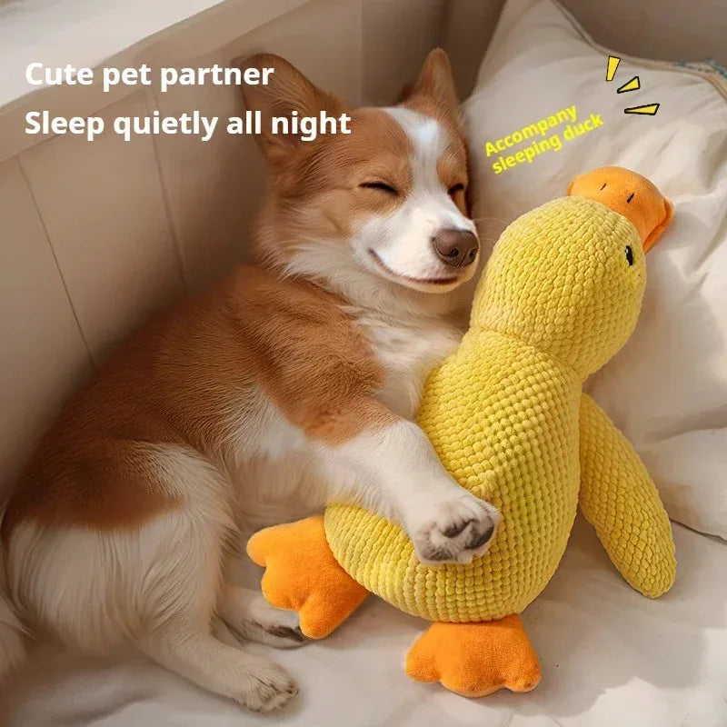 Calming Duck Plush Toy for Dogs – Soft, Squeaky & Chew-Friendly