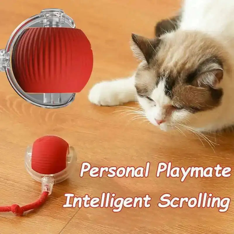 Smart Interactive Cat Ball Toy – Auto-Rolling & Rechargeable