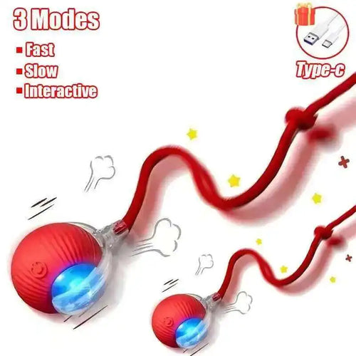 Smart Interactive Cat Ball Toy – Auto-Rolling & Rechargeable