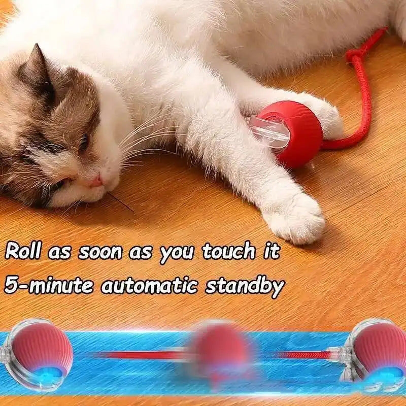 Smart Interactive Cat Ball Toy – Auto-Rolling & Rechargeable