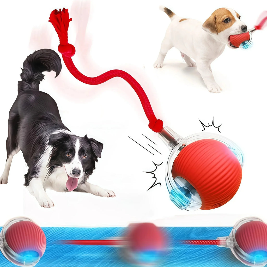 Smart Interactive Cat Ball Toy – Auto-Rolling & Rechargeable