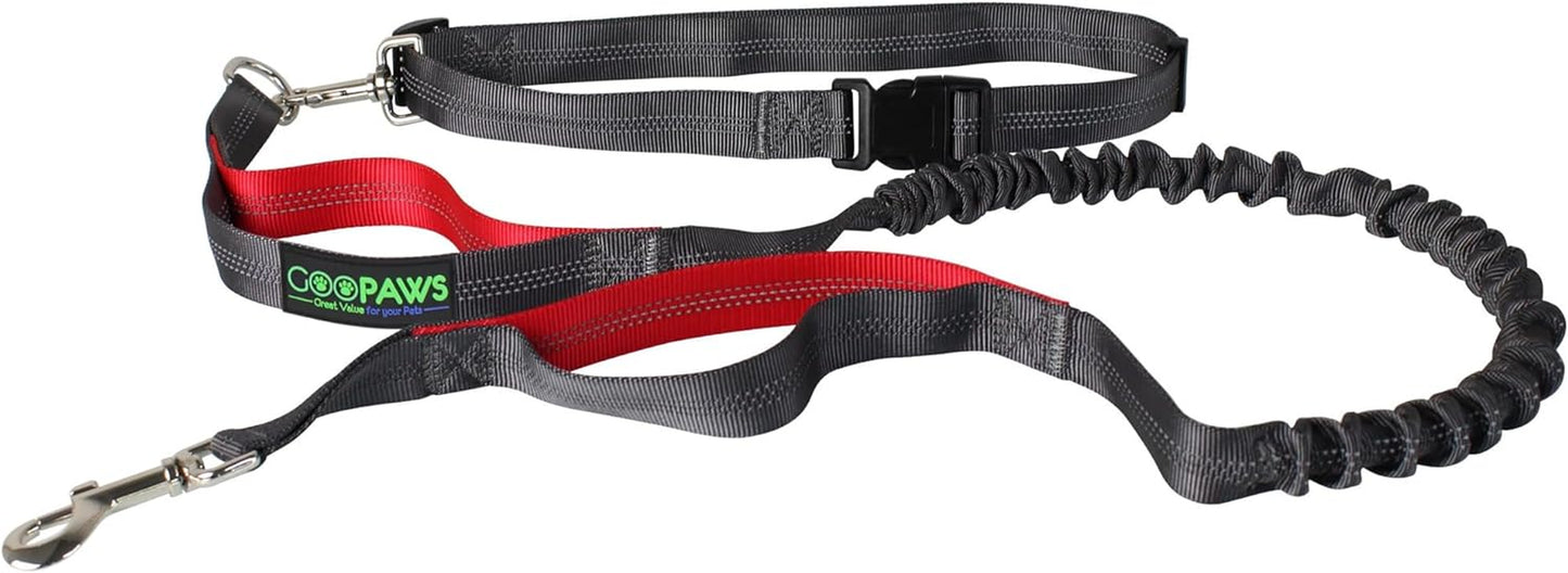 Ultimate Hands-Free Dog Leash for Active Adventures