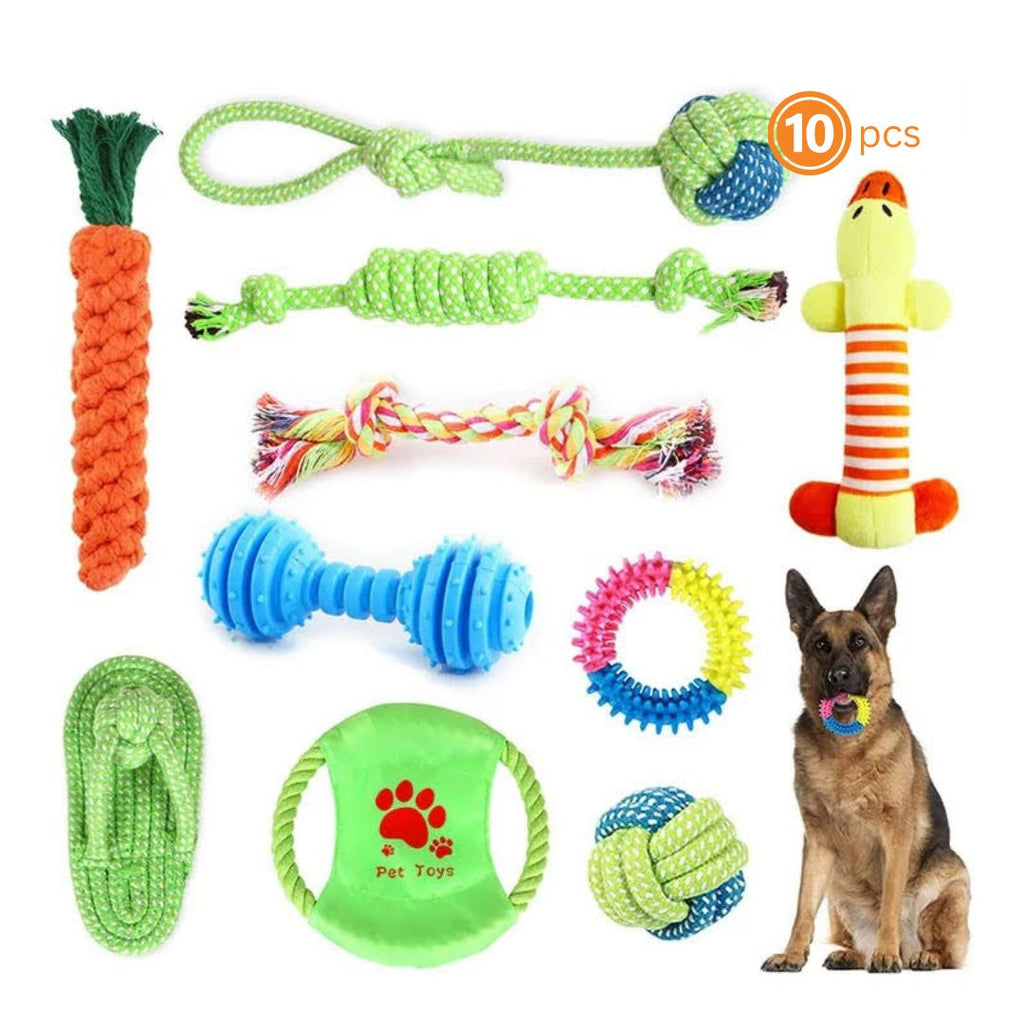 10-Piece Bite-Resistant Molar Dog Toys Set