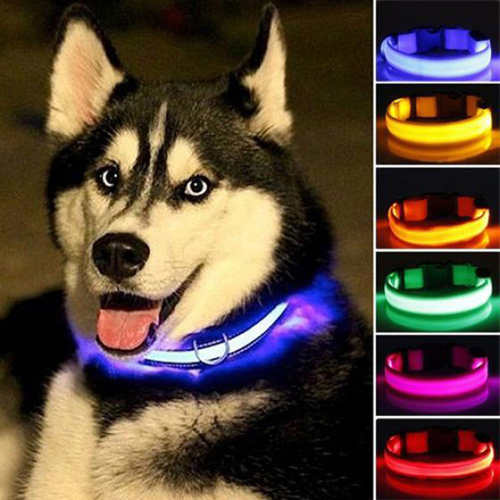 LED Dog Collar - Nylon Light-Up Safety Collar (2-Pack)