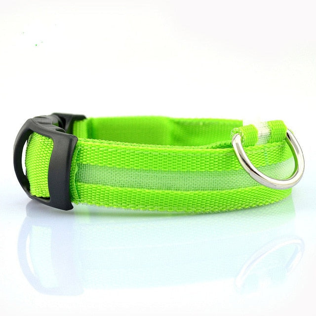 LED Dog Collar - Nylon Light-Up Safety Collar (2-Pack)