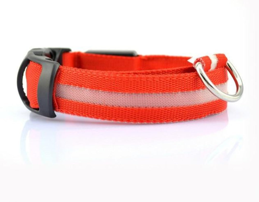 LED Dog Collar - Nylon Light-Up Safety Collar (2-Pack)