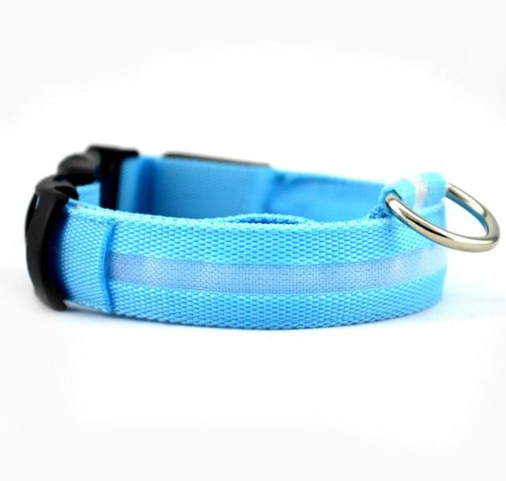 LED Dog Collar - Nylon Light-Up Safety Collar (2-Pack)