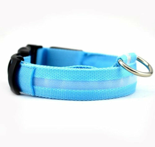 LED Dog Collar - Nylon Light-Up Safety Collar (2-Pack)