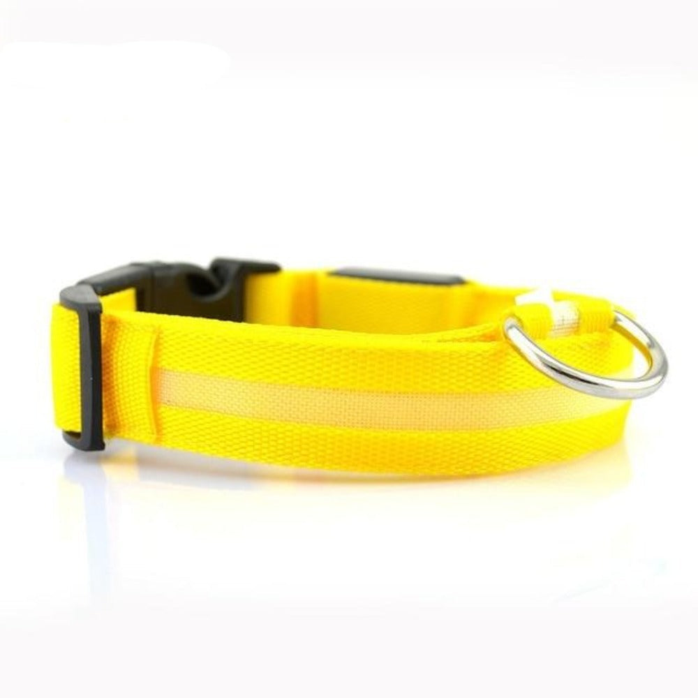 LED Dog Collar - Nylon Light-Up Safety Collar (2-Pack)