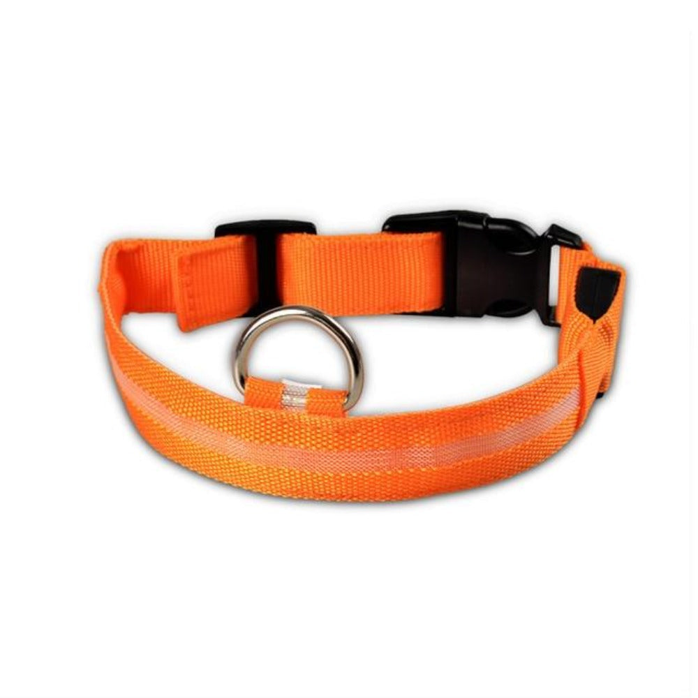 LED Dog Collar - Nylon Light-Up Safety Collar (2-Pack)