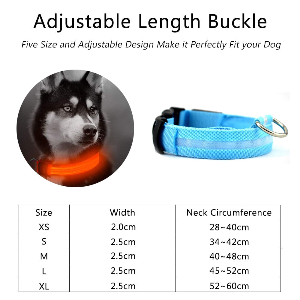 LED Dog Collar - Nylon Light-Up Safety Collar (2-Pack)