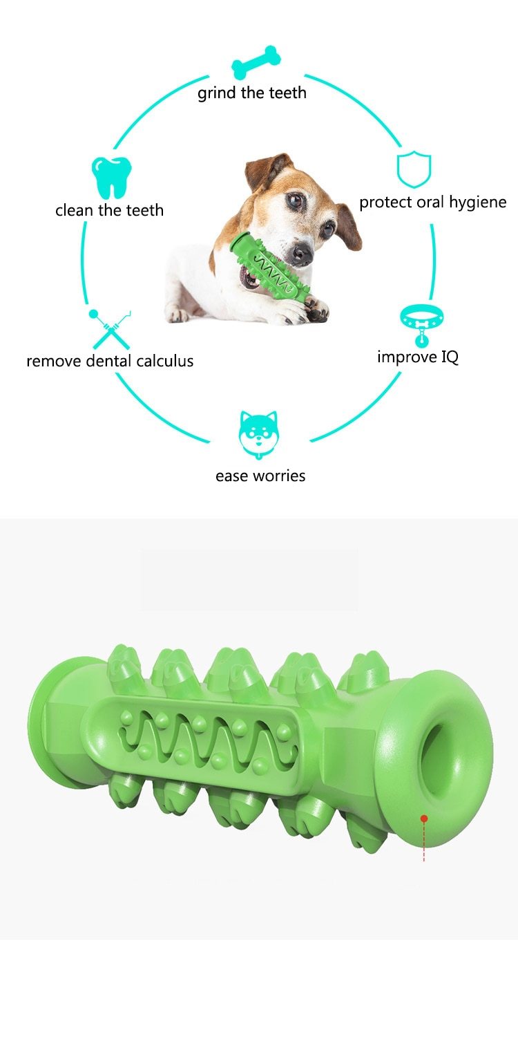 Dog Chew & Teeth Cleaning Toy