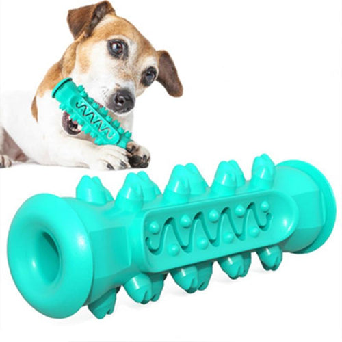 Dog Chew & Teeth Cleaning Toy